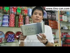 De ovale Gegalvaniseerde Pot van de de Vaasplanter van het Zinkmetaal voor de Decoratie van de Bloementuin